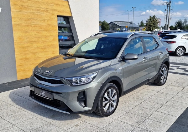 Kia Stonic cena 77900 przebieg: 49000, rok produkcji 2020 z Człuchów małe 254